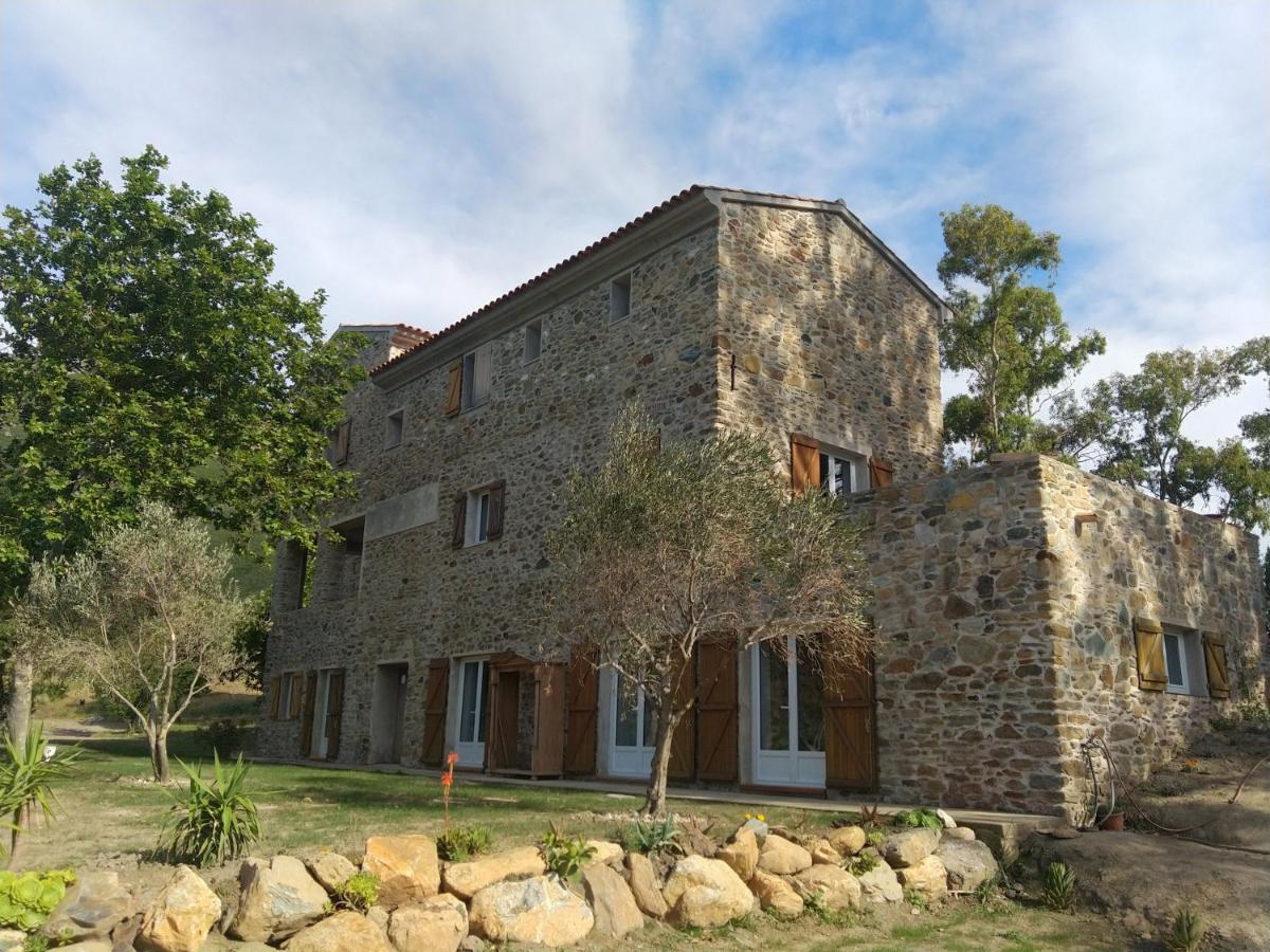 Mulinu Biancu Hotel Poggio-d'Oletta Exterior photo